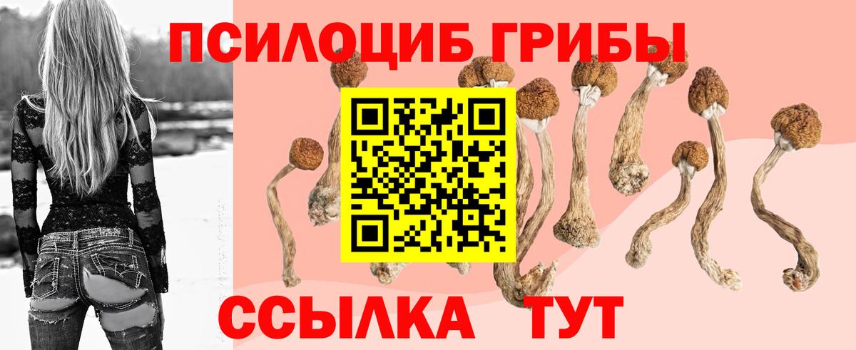 Галлюциногенные грибы GOLDEN TEACHER  Вход с VPN  Псилоцибиновые грибы Cubensis  Реж 